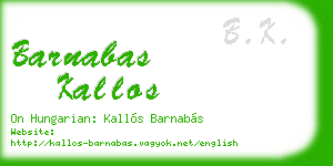 barnabas kallos business card